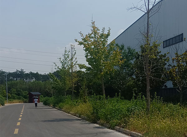 厂房展示
